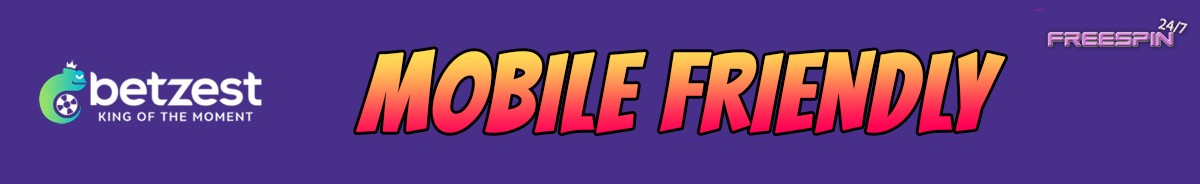 Betzest Casino-mobile-friendly