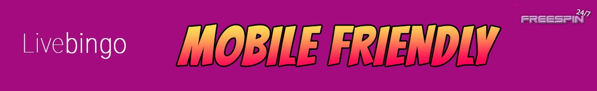 Live Bingo Casino-mobile-friendly